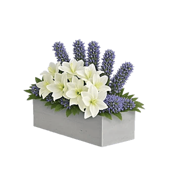 Graceful Lily Display