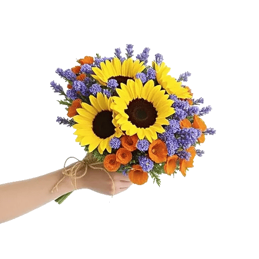 Twinkling Sunflower Dance