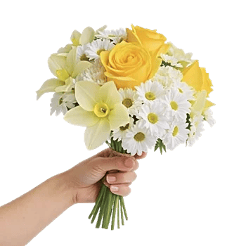 Blossom Harmony Display