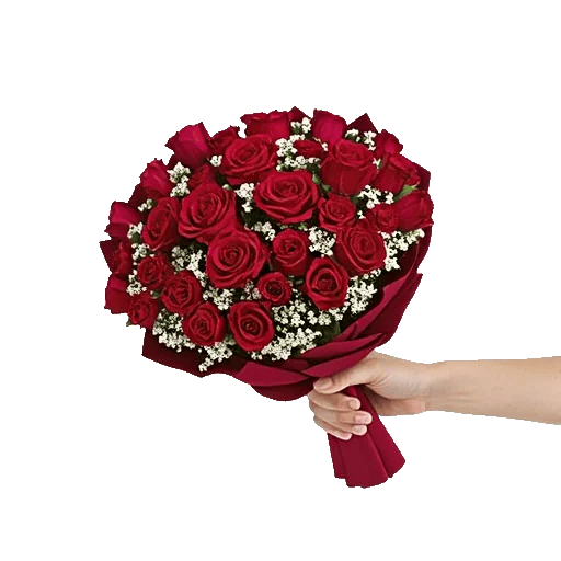 Crimson Rose Elegance