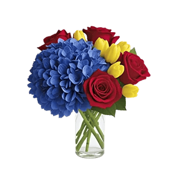 Sapphire Bloom Whisper