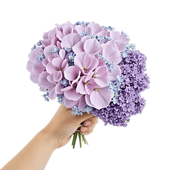 Serene Petal Harmony