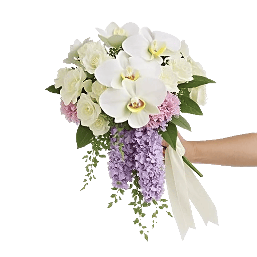 Orchid Bloom Cascade