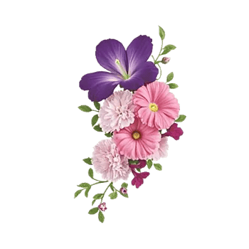 Petal Radiance Bliss