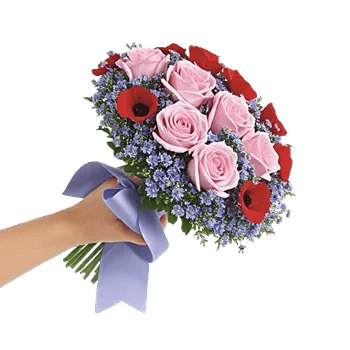 Pastel Pink Roses