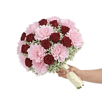 Pastel Pink Roses
