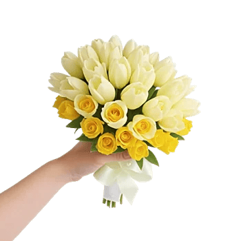 Blossom Harmony Display