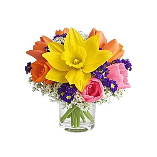 Petal Radiance Bliss