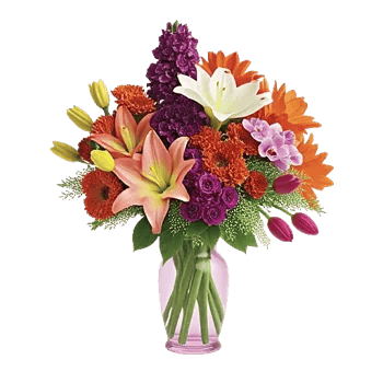 Ivory Blossom Radiance