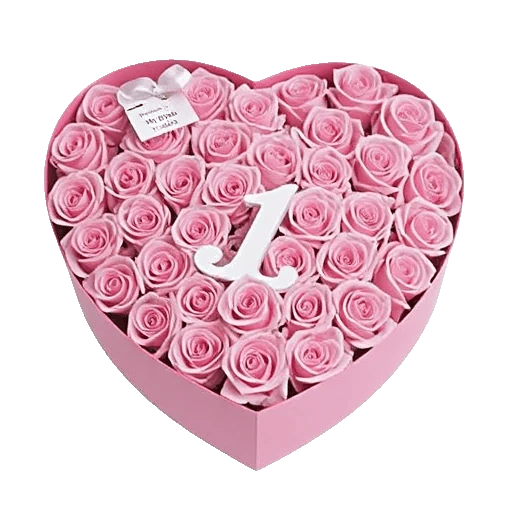 Blushing Rose Symphony