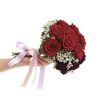 Crimson Rose Elegance