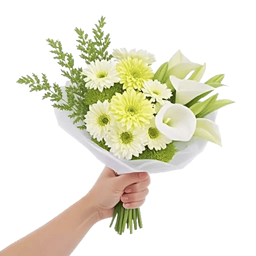 Ivory Garden Grace