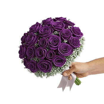 Radiant Rose Symphony