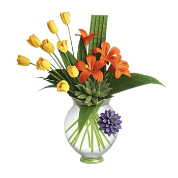 Velvet Tulip Display