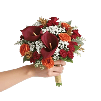 Elegant Calla Lilies