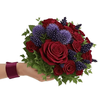 Crimson Rose Elegance