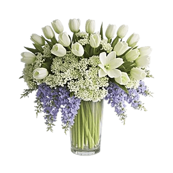 Ivory Blossom Radiance