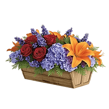 Petal Cascade Delight