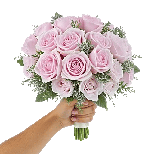 Pastel Pink Roses