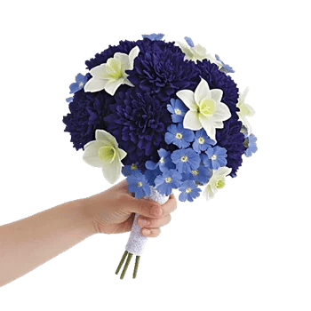 Morning Dew Blossoms