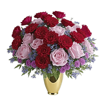 Petal Radiance Bliss