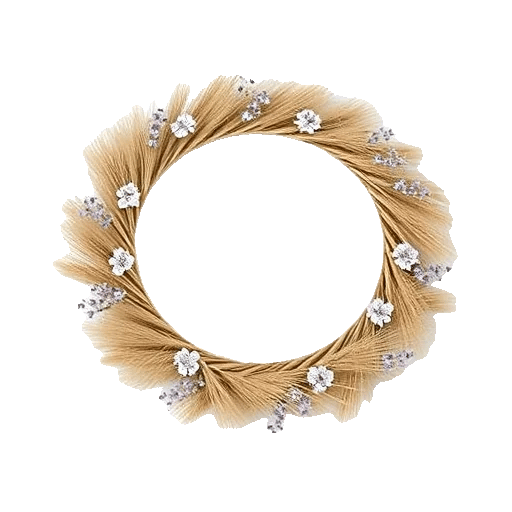 Minimalist White Orchids