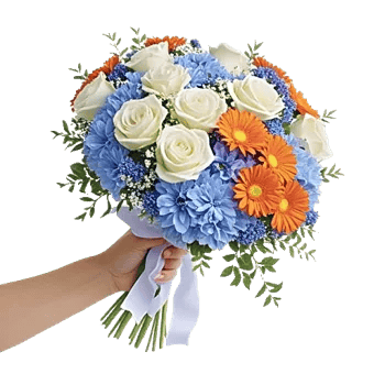 Serene Petal Harmony