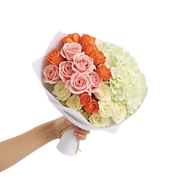 Pastel Pink Roses