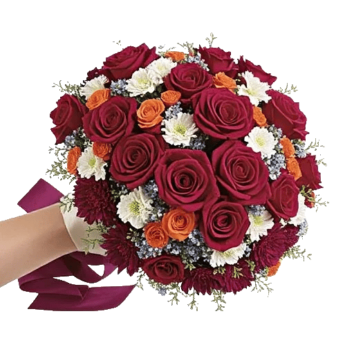 Blushing Rose Symphony