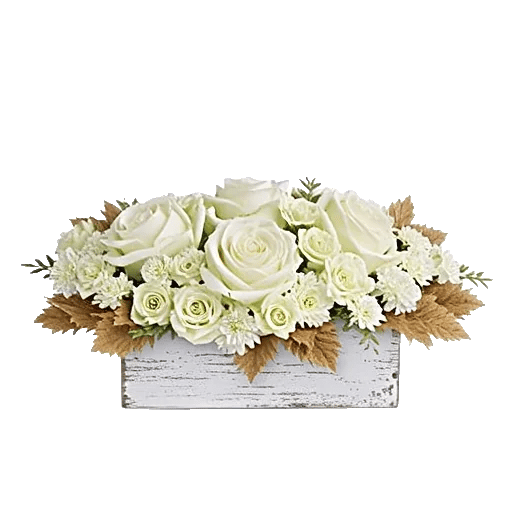 Delicate Petal Cascade