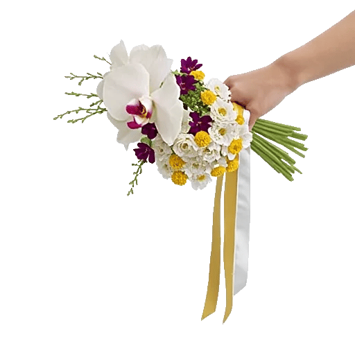 Orchid Bloom Cascade