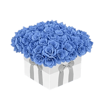Blooming Serenity Display