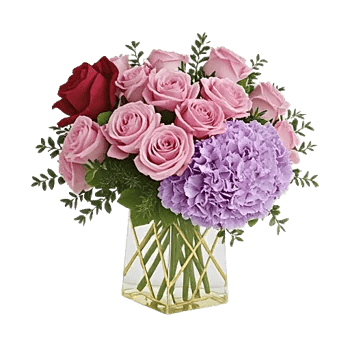 Golden Rose Radiance