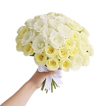 Delicate Petal Cascade