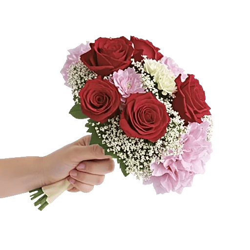 Crimson Rose Elegance