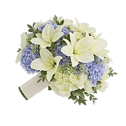 Sapphire Bloom Whisper