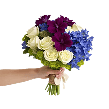 Blossom Petal Serenity