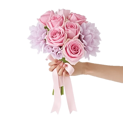 Peony Petal Harmony