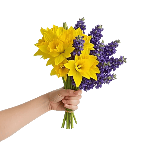 Blossom Harmony Display