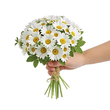 Daisy Meadow Spread