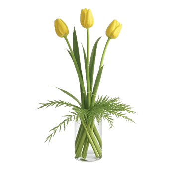 Velvet Tulip Display