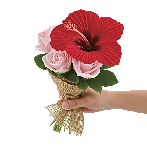 Crimson Rose Elegance