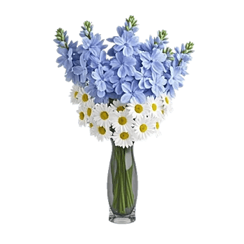 Serenity Blossom Grace