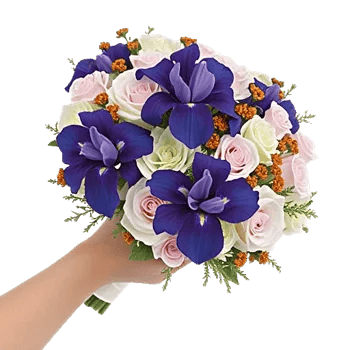 Ivory Blossom Radiance