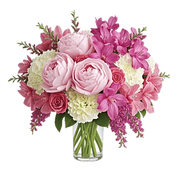 Petal Radiance Bliss