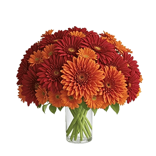 Crimson Blossom Harmony