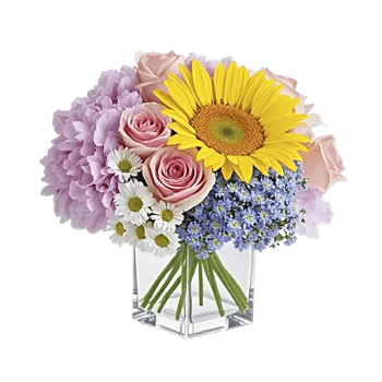 Radiant Bloom Cascade