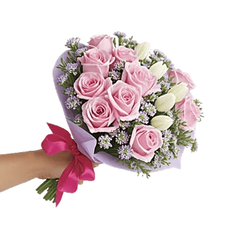Pastel Pink Roses