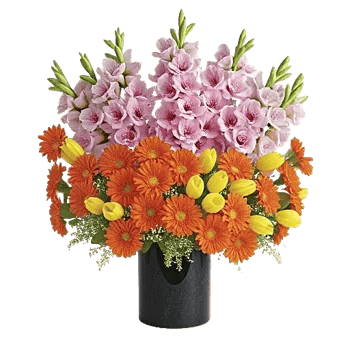 Petal Radiance Bliss