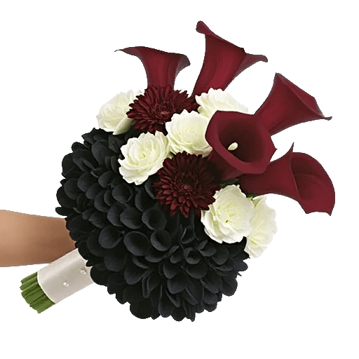 Elegant Calla Lilies